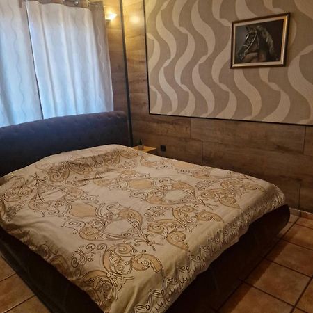 Guest House Maja Novi Sad Eksteriør billede
