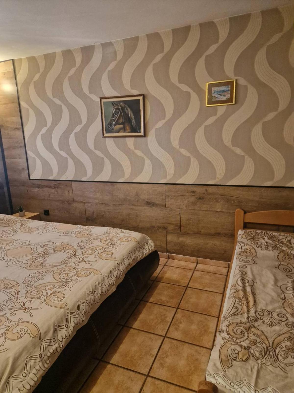 Guest House Maja Novi Sad Eksteriør billede
