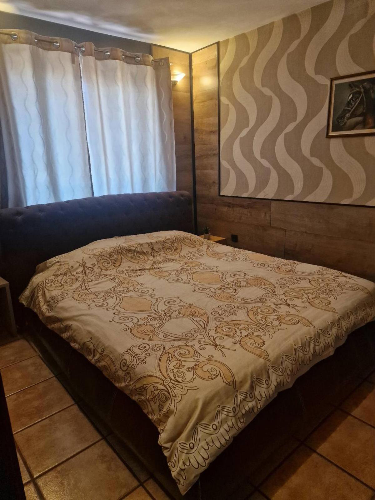 Guest House Maja Novi Sad Eksteriør billede